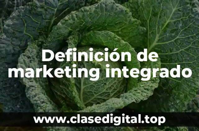 Ejemplos de marketing integrado