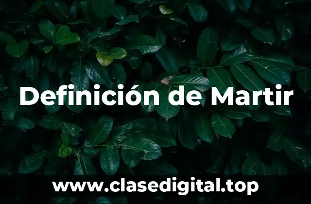 Definición de Martir