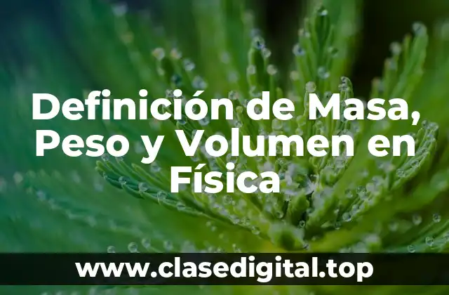 Definición Técnica de Masa, Peso y Volumen