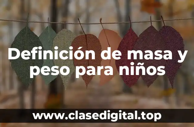 Definición técnica de masa