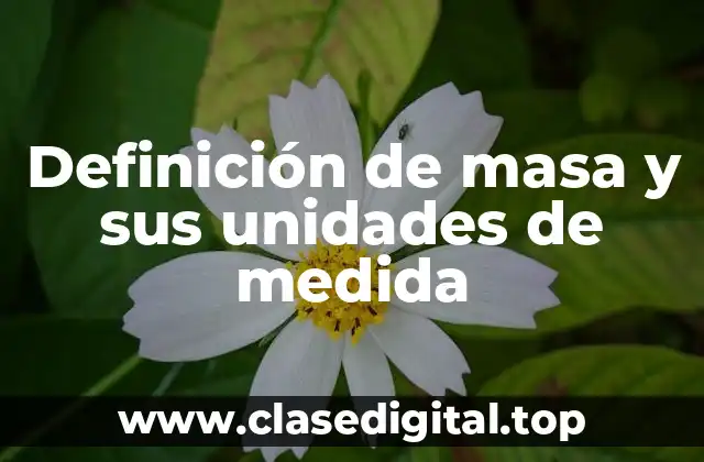 Definición de masa y sus unidades de medida