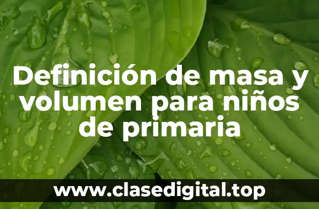 Definición técnica de masa y volumen