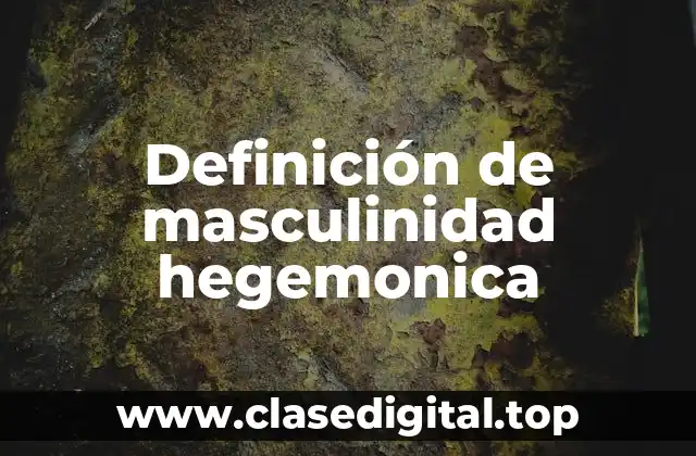Definición técnica de masculinidad hegemonica