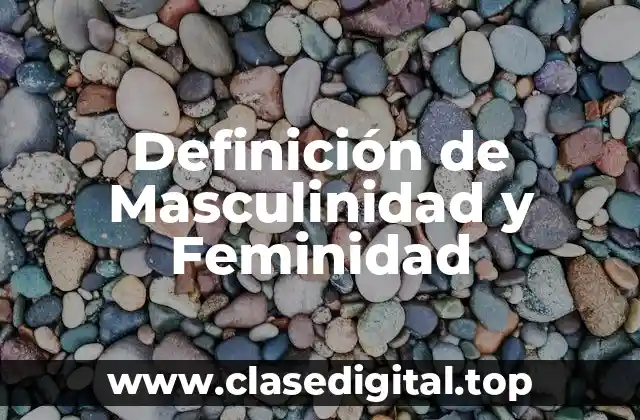 Definición de Masculinidad y Feminidad