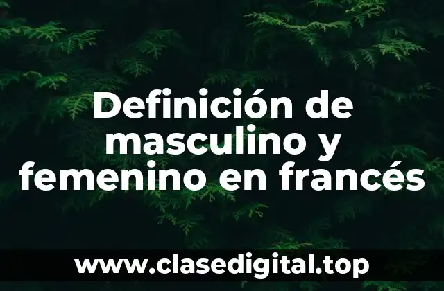 Definición de masculino y femenino en francés