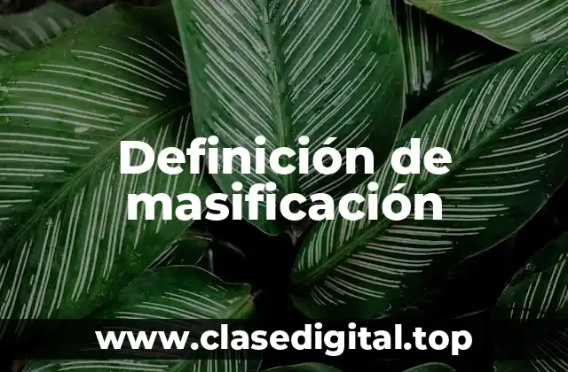 Definición de masificación