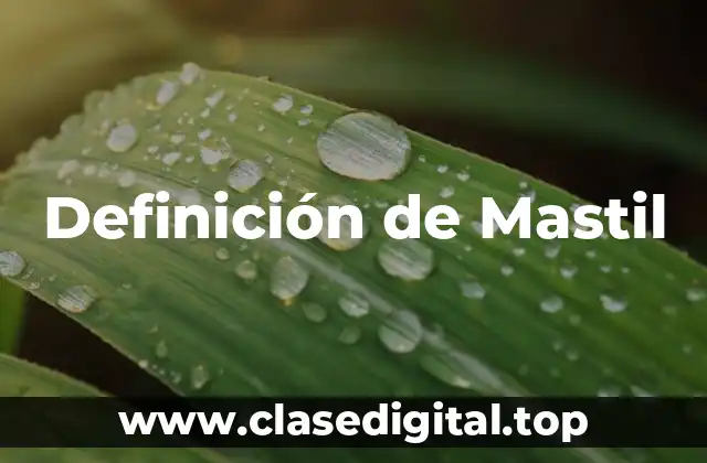 Definición de Mastil