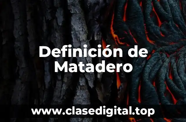 Definición de Matadero