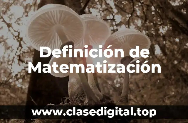 Ejemplos de Matematización