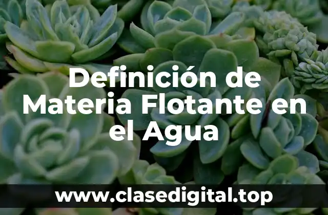 Definición de Materia Flotante en el Agua
