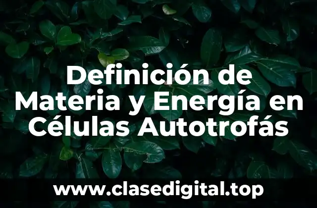 Definición de Materia y Energía en Células Autotrofás