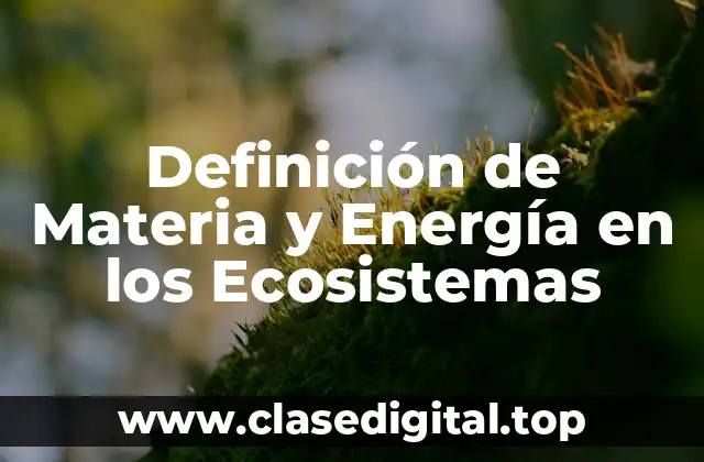 Definición de Materia y Energía en los Ecosistemas