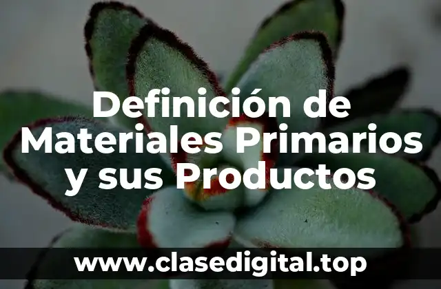 Ejemplos de Materiales Primarios y sus Productos