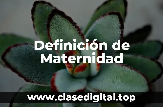 Definición de Maternidad