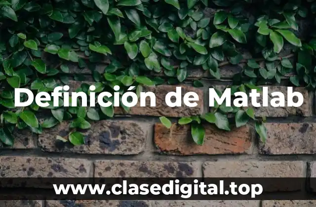 Definición de Matlab