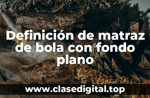 Definición de matraz de bola con fondo plano