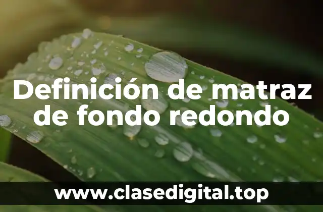 Definición técnica de matraz de fondo redondo