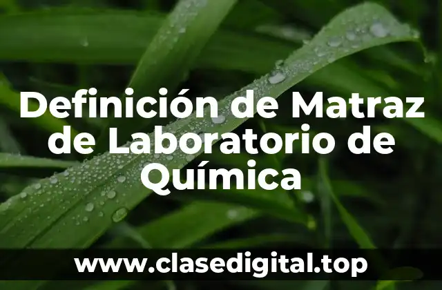 Definición de Matraz de Laboratorio de Química