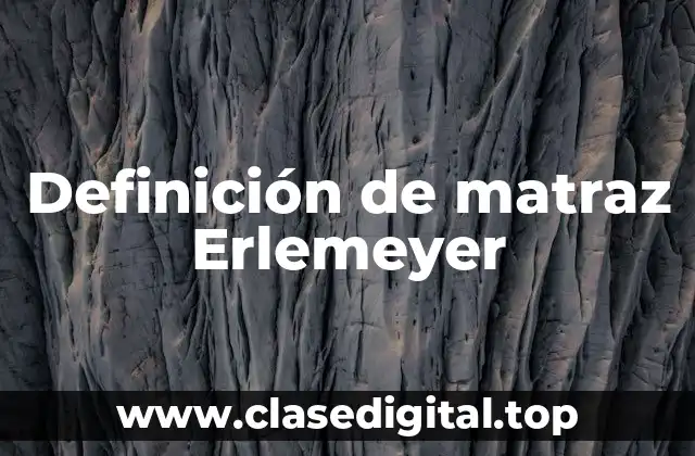 Definición de matraz Erlemeyer