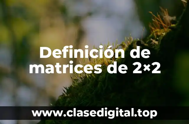 Definición de matrices de 2×2