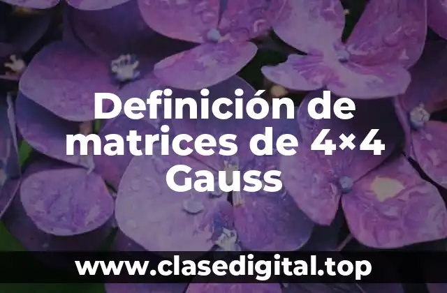 Definición de matrices de 4×4 Gauss