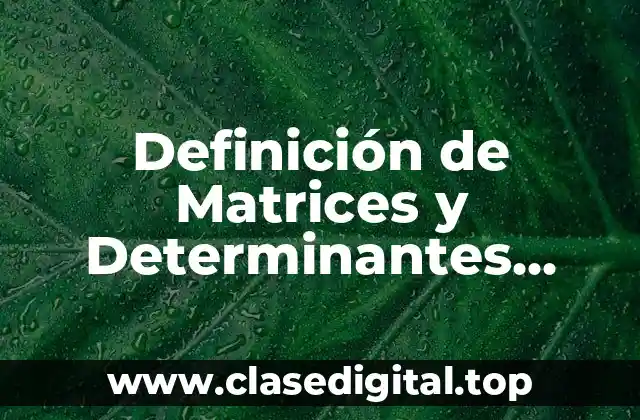 Definición de Matrices y Determinantes Algebra Lineal