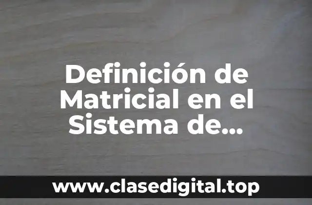 Definición de Matricial en el Sistema de Organización