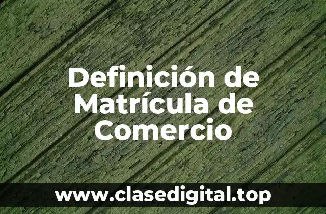 Definición de Matrícula de Comercio
