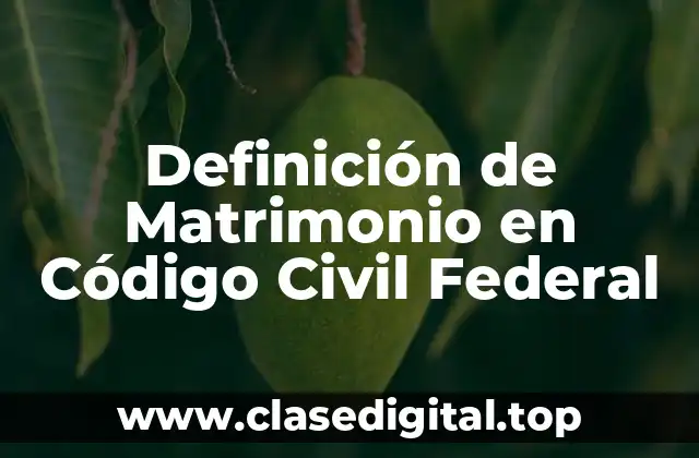 Definición de Matrimonio en Código Civil Federal