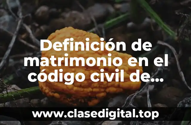 Definición de matrimonio en el código civil de Oaxaca