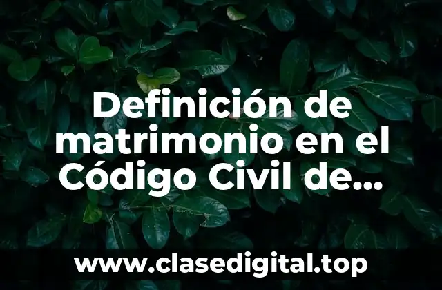 Definición de matrimonio en el Código Civil de Puebla