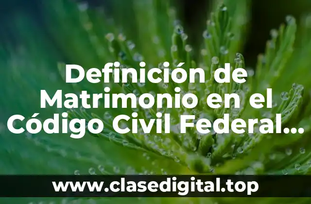 Definición técnica de Matrimonio