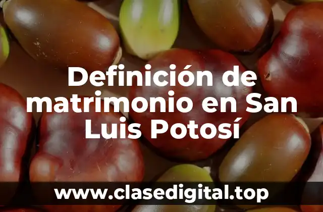 Definición de matrimonio en San Luis Potosí