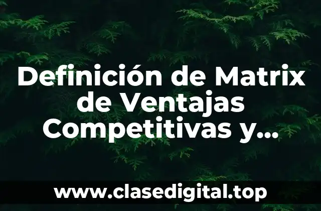 Definición de Matrix de Ventajas Competitivas y Comparativas