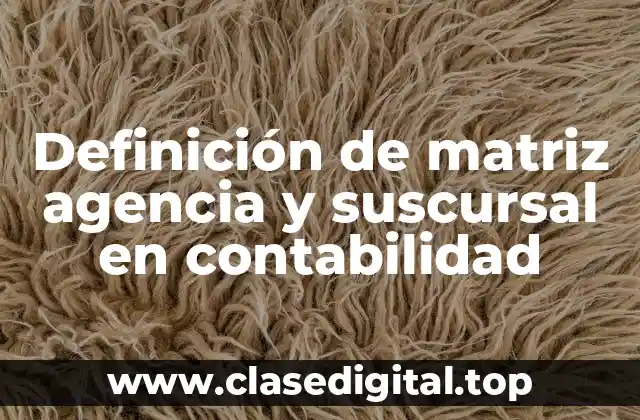 Definición de matriz agencia y suscursal en contabilidad