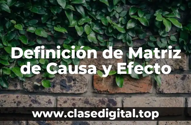 Definición de Matriz de Causa y Efecto