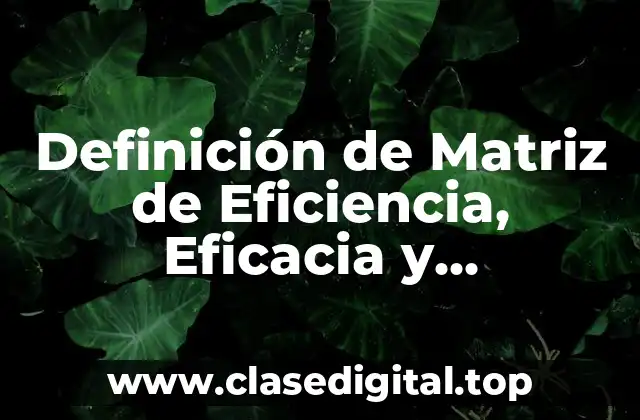 Definición de Matriz de Eficiencia, Eficacia y Efectividad