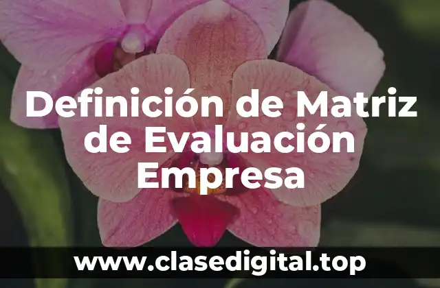 Definición de Matriz de Evaluación Empresa