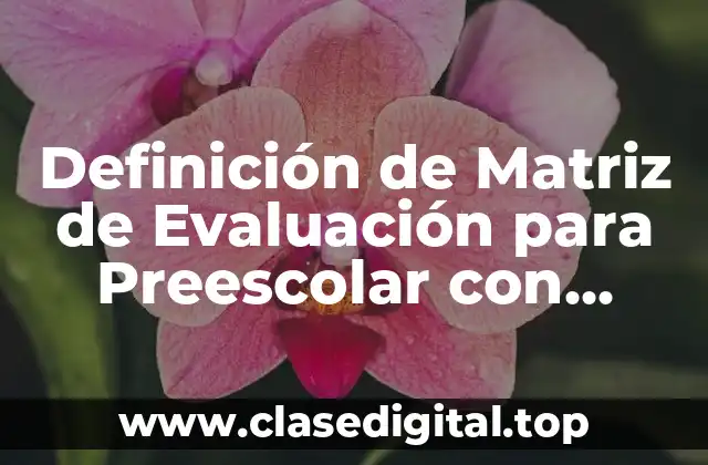 Definición de Matriz de Evaluación para Preescolar con Competencias