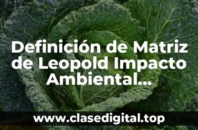 Definición de Matriz de Leopold Impacto Ambiental Productos de Limpieza