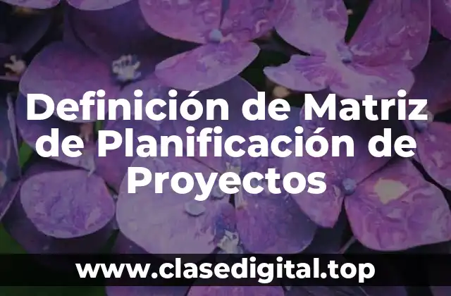 Definición de Matriz de Planificación de Proyectos