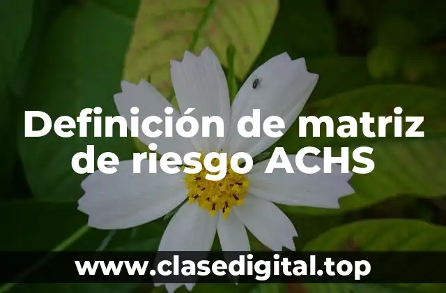 Definición de matriz de riesgo ACHS