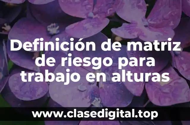 Ejemplos de matriz de riesgo para trabajo en alturas