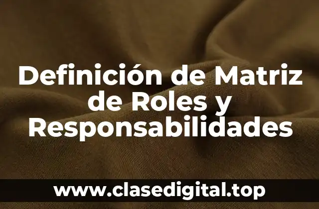 Definición de Matriz de Roles y Responsabilidades