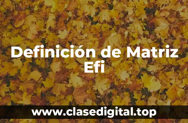 Definición de Matriz Efi