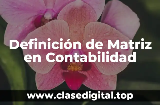 Definición de Matriz en Contabilidad