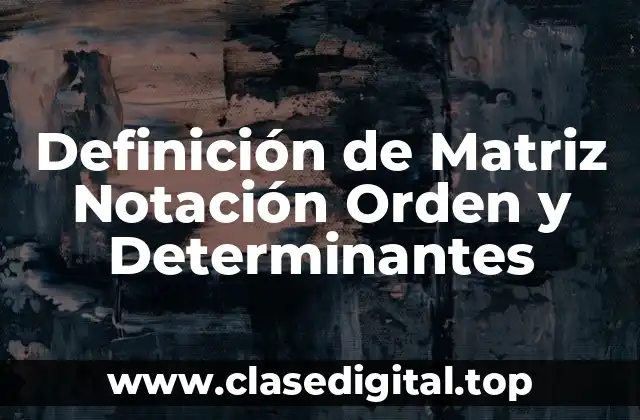 Definición de Matriz Notación Orden y Determinantes