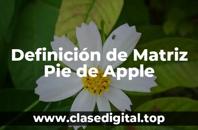 Definición de Matriz Pie de Apple