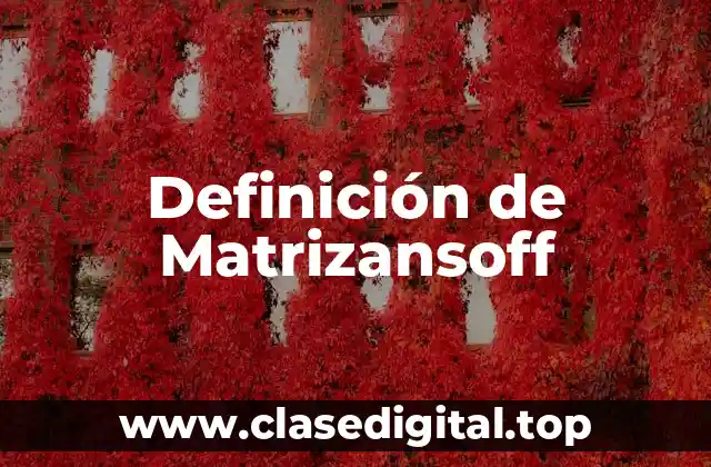 Definición de Matrizansoff