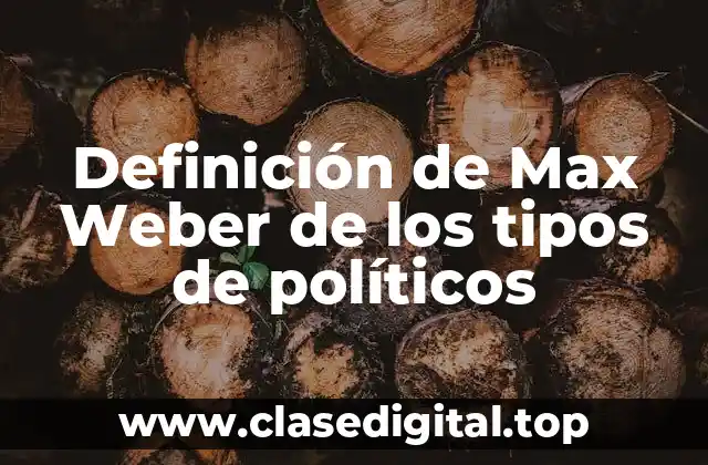 Definición técnica de los tipos de políticos